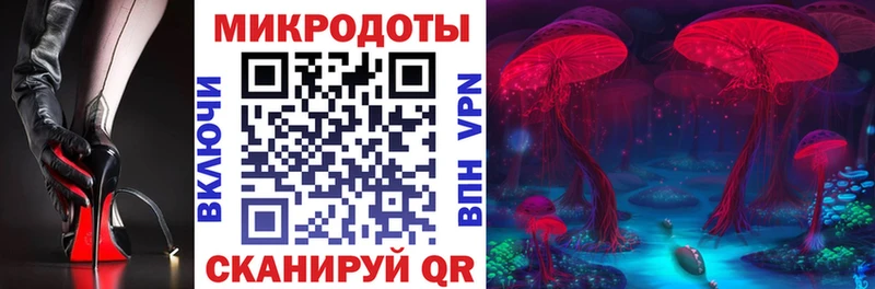 KRAKEN ONION  Кизляр  Псилоцибиновые грибы ЛСД 